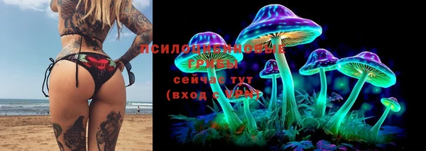 кокс Алексин