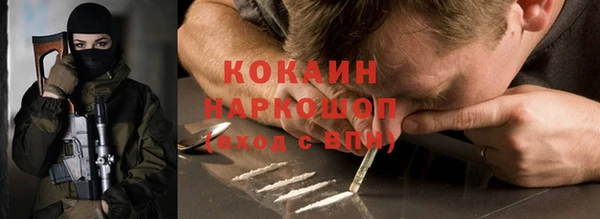 PSILOCYBIN Алзамай