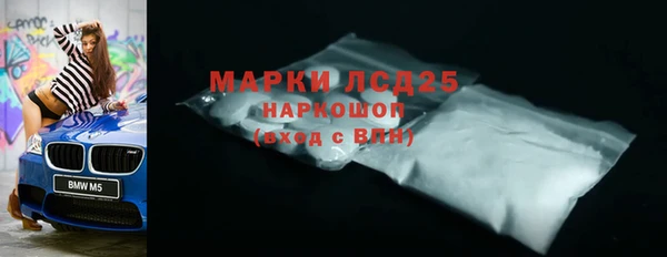 PSILOCYBIN Алзамай