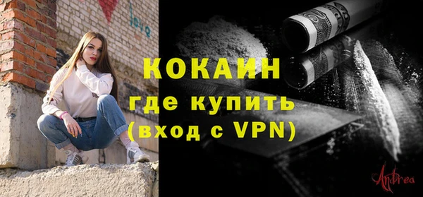 шишки Аркадак