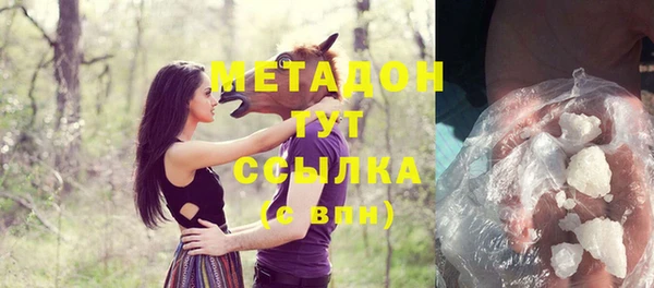 шишки Аркадак